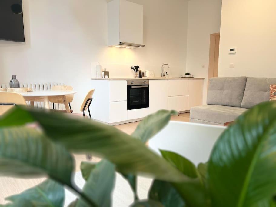 L'Escapade Chic - Cathedrale, Saint Lambert Apartman Liège Kültér fotó